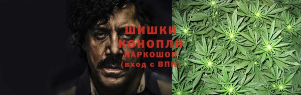 молекула духа Арсеньев