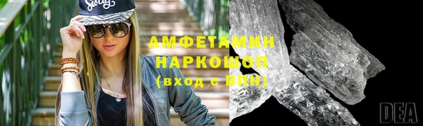 молекула духа Арсеньев