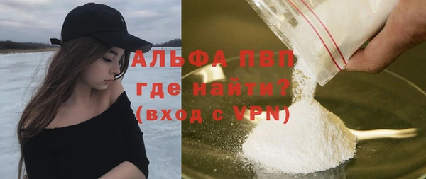 молекула духа Арсеньев