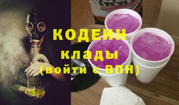 молекула духа Арсеньев
