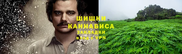 молекула духа Арсеньев