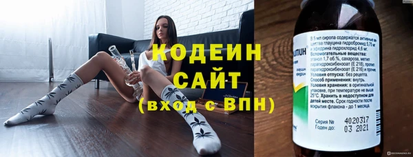молекула духа Арсеньев